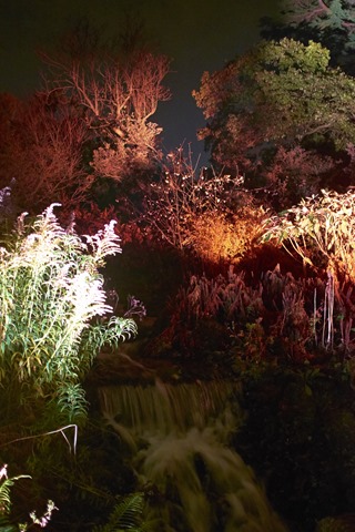 Royal Botanic Garden Edinburgh - A Night in the Garden